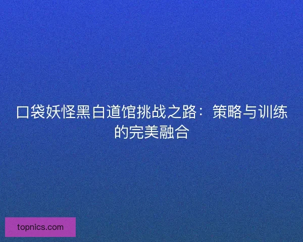口袋妖怪黑白道馆挑战之路：策略与训练的完美融合