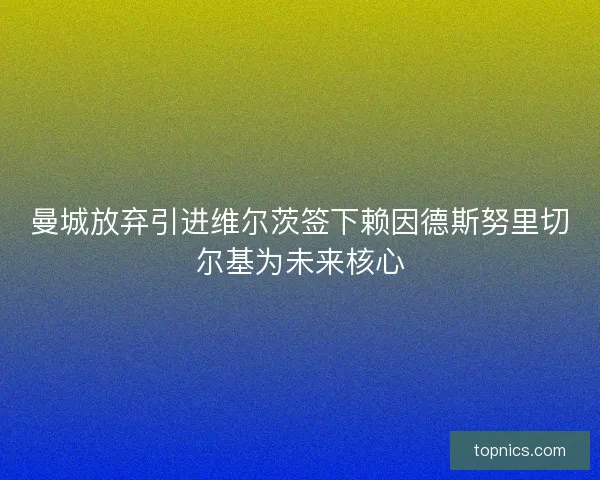 曼城放弃引进维尔茨签下赖因德斯努里切尔基为未来核心